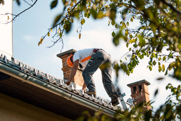 Best Roofing Contractor Near Me  in Manhattan, IL